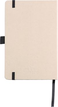 NOTES IN CANNA DA ZUCCHERO A5